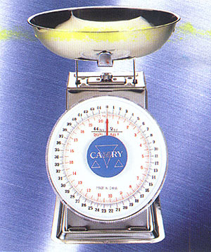 Dial Spring Scale